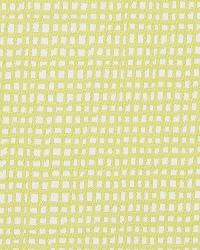 Marlo Squares Lime by  Robert Allen 