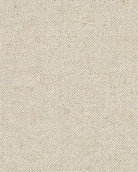 Jute Chenille Pearl by  Robert Allen 