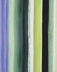 Jungle Road Amazon by  Robert Allen 