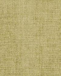 Jute Chenille Thyme by  Robert Allen 