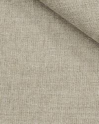 Plush Lanai Sterling by  Robert Allen 