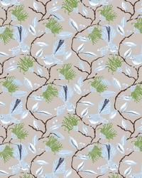 W05vl-4 Onlooker Grey Wallpaper by   