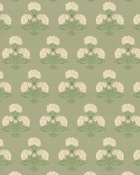 W7857 Hydrangea 6 Sage by  Stout Wallpaper 