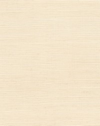 W7859 Brimsley 11 Cream by   