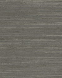 W7859 Brimsley 14 Carbon by   