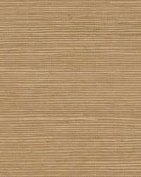 W7859 Brimsley 8 Straw by   