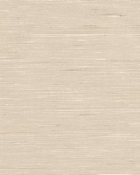 W7871 Miley 1 Sand by   