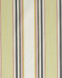 Michiba Stripe Sunray by  Robert Allen 