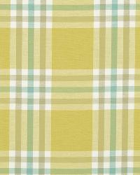 Plenty Plaid Sunray by   