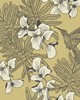 1838 Wallcoverings HUMMINGBIRD (WP) # 01 MUSTARD