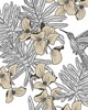 1838 Wallcoverings HUMMINGBIRD (WP) # 06 JET