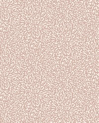 Corallo 05 Pink Stucco by   