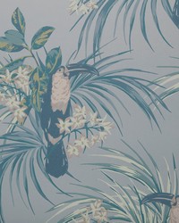 Le Toucan 01 Pale Blue by   