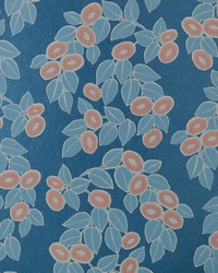 Rosetta 01 Midnight by   