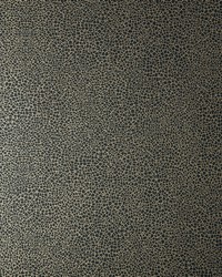 Emile 06 Jet by  1838 Wallcoverings 