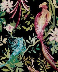 Bird Sonnet 05 Jet by   