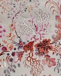 Kilburns Coral 01 Coral Reef by   