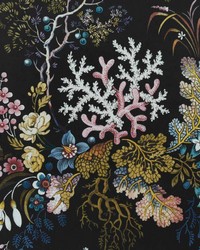 Kilburns Coral 04 Midnight by   