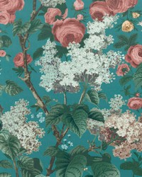 Floribunda 03 Teal by   
