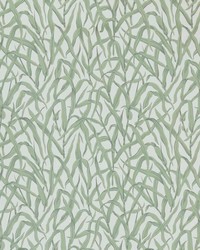 Ornamental Grasses 01 Sage by   