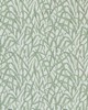 1838 Wallcoverings ORNAMENTAL GRASSES (WP) 01 SAGE