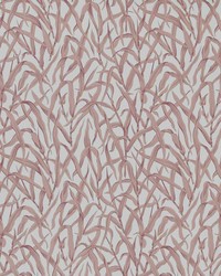 Ornamental Grasses 03 Rose by   