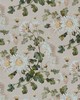 1838 Wallcoverings CHARLOTTE (WP) 04 APRICOT