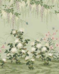 Wisteria Bloom 03 Pistachio by   