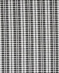 Picnic Patches Night Sky by  Robert Allen 