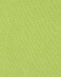Canvas Texture Lime by   