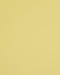 Eon Lemon Verbena by  Robert Allen 