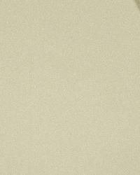 Matte Shimmer Midas by  Robert Allen 