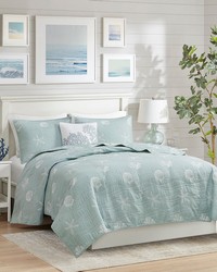 Seaside Aqua 4 Piece Cotton Reversible Embroidered Quilt Set with Throw Pillow King by   