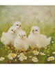 Olliix Sunshine Animals Chicks/Green Multi