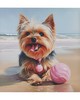 Olliix Beach Dogs Yorkie/Blue Multi