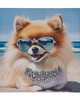 Olliix Beach Dogs Pomeranian/Blue Multi