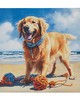 Olliix Beach Dogs Golden Retriever/Blue Multi