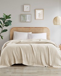 Bree Knit Ivory Blanket by   