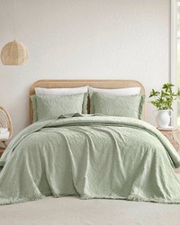 Willow Sage 3PCS Bedspread Set King by   