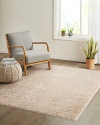 Camdyn Cream Super Soft Polyester Shag Area Rug by   