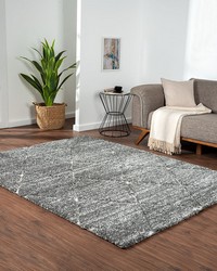 Sophie Grey Cream Talas Trellis Area Rug in Grey and Cream by   