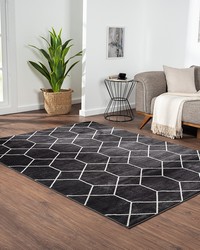 Averie Black Cream Trellis Geometric Woven Area Rug by   