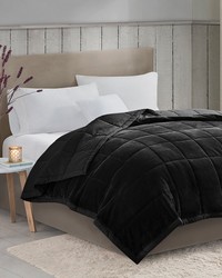 Coleman Black Reversible HeiQ Smart Temperature Down Alternative Blanket by   