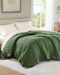 Windom Green Lightweight Down Alternative Blanket with Satin Trim by   