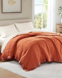 Windom Orange Lightweight Down Alternative Blanket with Satin Trim by   