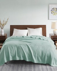 Egyptian Cotton Seafoam Blanket by   