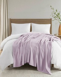 Liquid Cotton Lilac Blanket by   