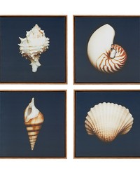 Ocean Seashells Blue 4-piece Framed Canvas Wall Art Set by   