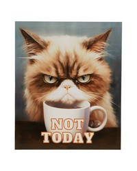 Grumpy Cats Not Today/Multi Not Today Canvas Wall Art by   