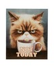 Olliix Grumpy Cats Not Today/Multi